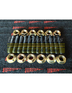 Set of manifold studs