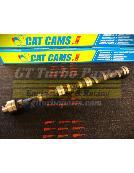 Cat Cams camshaft