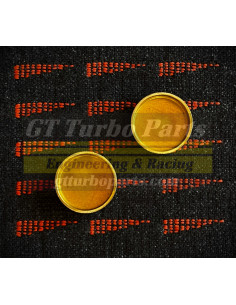 Intake manifold caps (x2)