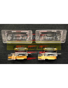 Conjunto de 2 Luces de matrícula completo