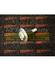 Pivot de verrouillage