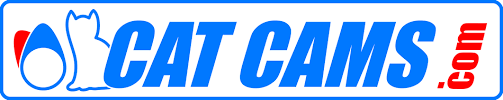 Cat Cams